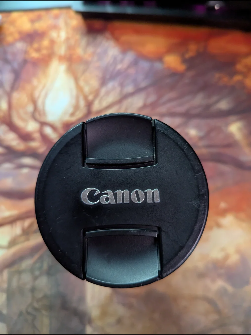 Canon 24 105mm